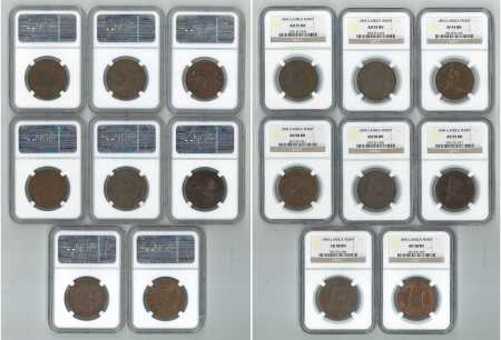 South Africa Lot of 8x NGC Graded Pennies (1894)